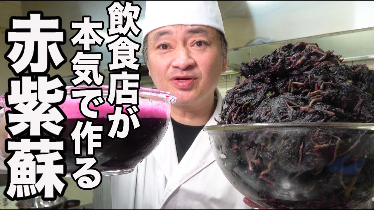 2023年【保存版】赤紫蘇を１０倍赤く美味しくするレシピ！プロ編！