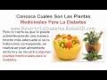 PLANTAS MEDICINALES PARA LA DIABETES