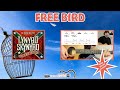 Free Bird Guitar Lesson | EASY Strummy Version