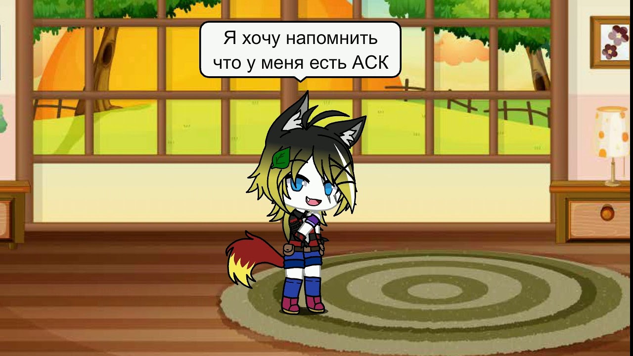 Аск авто 88