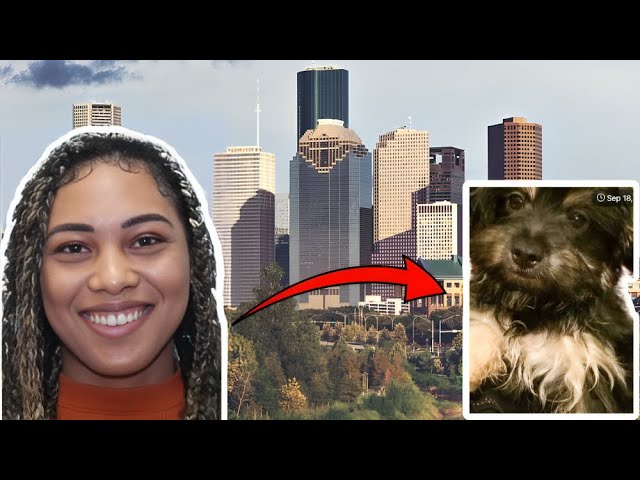 Texas Woman Missing With Dog Found Two Weeks After Disappearance