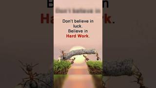 The pain of discipline vs the pain of regret #choices #success