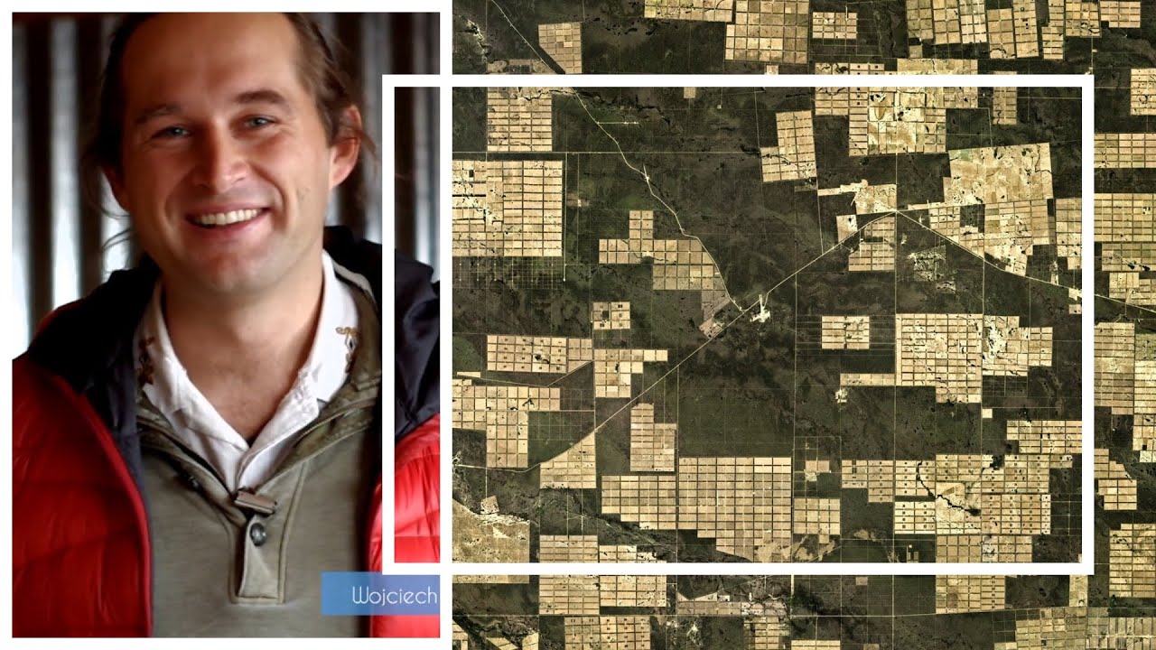 ¿Quién paga el asado? || la deforestación en el Chaco paraguayo y el consumo de la carne