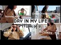 Day in the life grocery haul  meal plan homeschool mom of 6