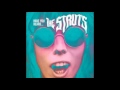 The Struts- Could Have Been Me (Lyrics in Description)