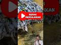 Pabrik Batik Semarang | Gus Baha : Kambing Hitam #gusbaha #nasehat #shorts