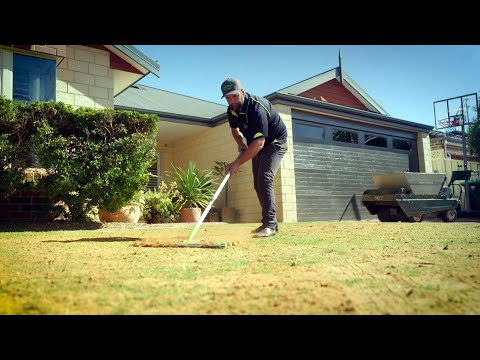 The Garden Gurus - Lawn Turf  Top dressing