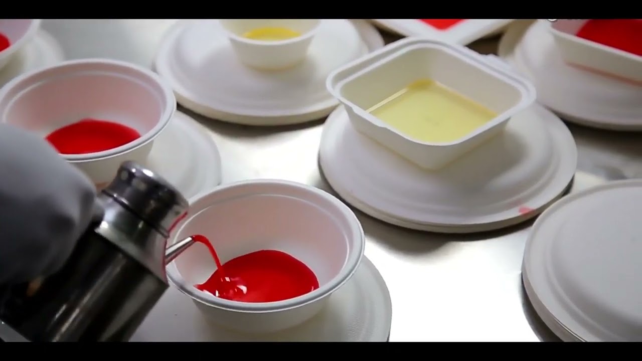 Sugarcane Bagasse Tableware Products Supplier & Manufacturer| GeoTegrity.