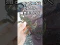 海に来たのでカニ捕りしよう #shorts