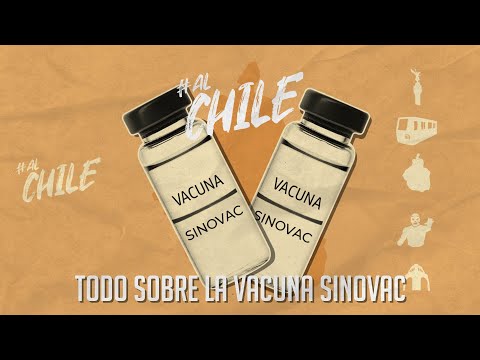 #AlChile todo sobre la vacuna Sinovac | CHILANGO