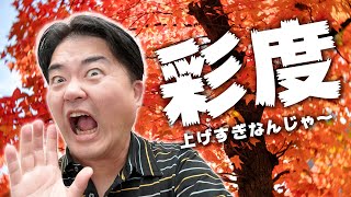 なぜ嫌われる？彩度爆上げサイドマックス写真で炎上!? 画像加工のやり過ぎには注意が必要
