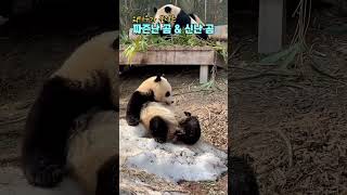 루신나씨와후딱딱씨❤️