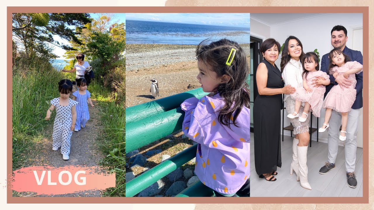 CONOCEN UNA ISLA DE  PINGÜINOS - ISLA MAGDALENA PUNTA ARENAS