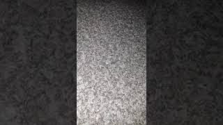 Quick VHS Update for 7/11/18