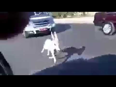 انت استثنائي