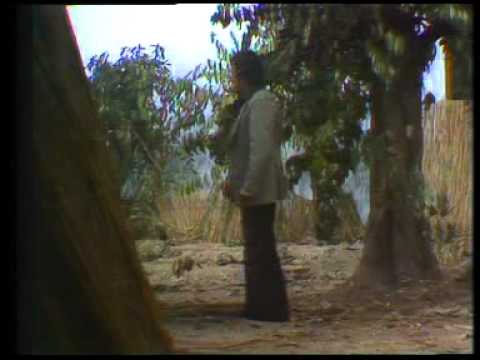 صرخة برئ ج 2 