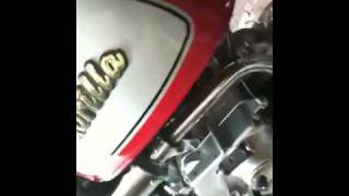 Honda monkey
