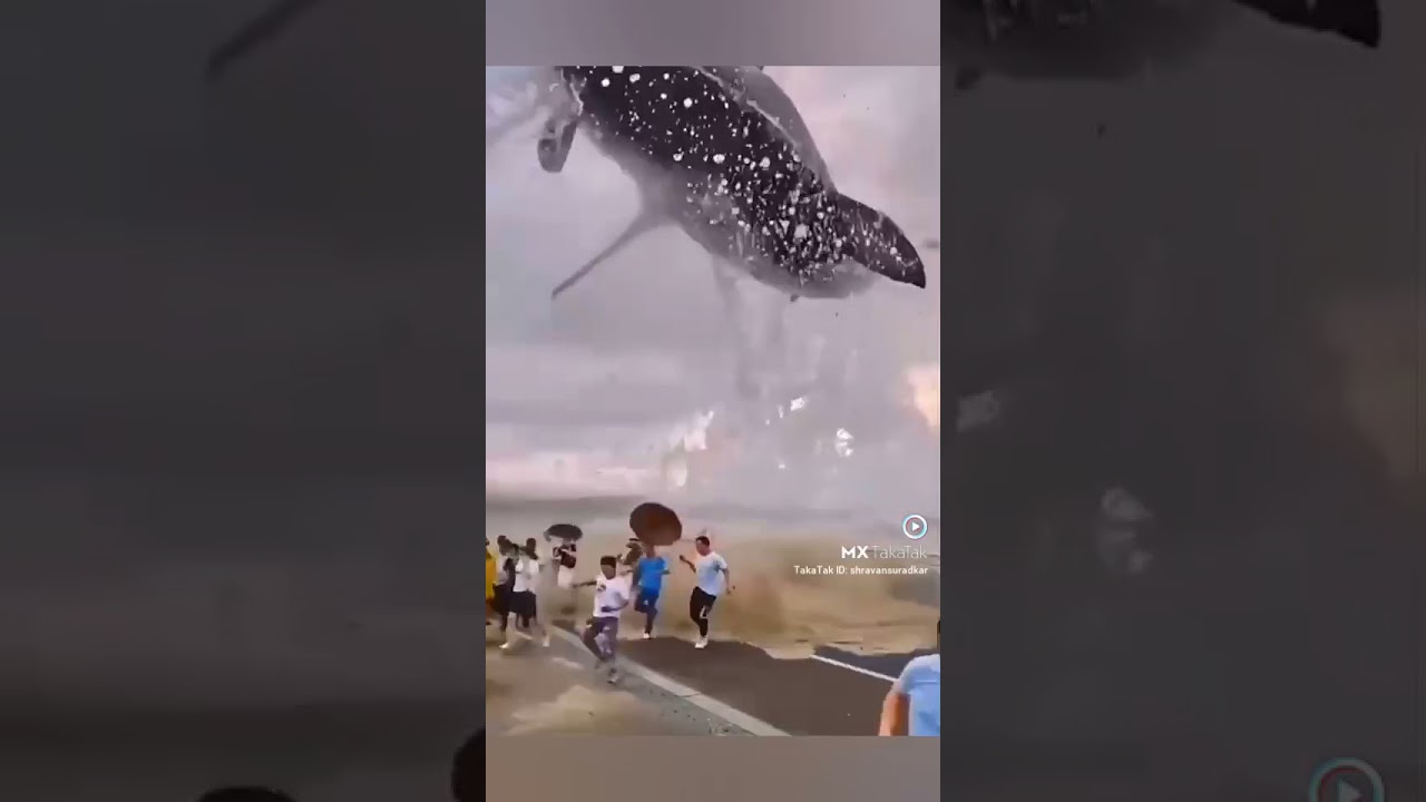 💓दुनिया 🔥की सबसे बड़ी शार्क मछली पकड़ने💓💓