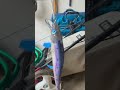 (Deep Hook Customs) Jerk baits #Maycustombaits #Custompaintedbaits #fishingsmallmouth #bassfishing