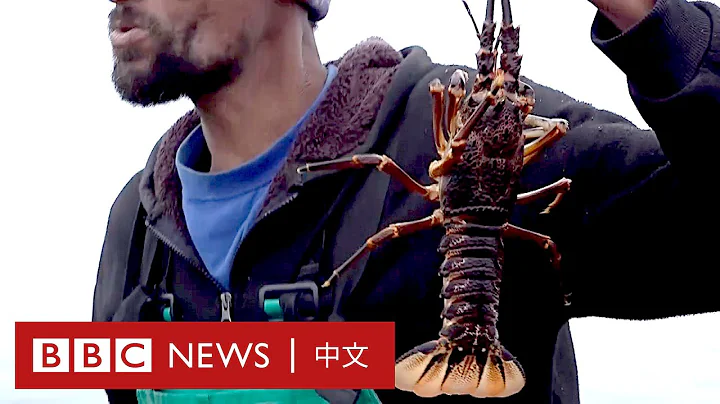 肺炎疫情：中国需求锐减致南非渔民濒失业“别把中国增长看成理所当然”－ BBC News 中文 - 天天要闻