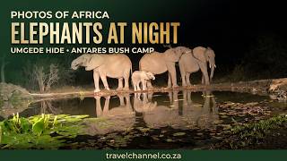 Umgede Hide Timelapse | 2026-09-11 | Antares Bush Camp