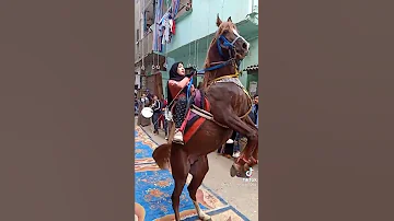 رقص الحصان علي مزمار بلدي 