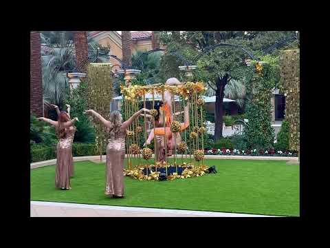 Golden Cage Act — video preview
