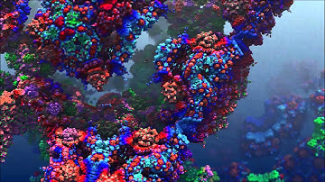 Detail: A Fractal Animation