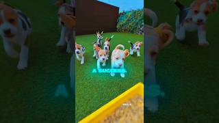 These dogs created chaos just by looking the same 😂