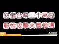 「一拳超人」怒儲台幣20萬！野性攻擊鳳凰男有多強？最強之男 文老爹