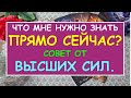 ЧТО МНЕ НУЖНО ЗНАТЬ ПРЯМО СЕЙЧАС? СОВЕТ ОТ ВЫСШИХ СИЛ. Таро Онлайн Расклад Diamond Dream Tarot