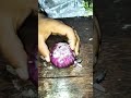 #onlinecutting #onionpeeling  #youtubeshorts #shorts #kitchentips ##vegetablecutting