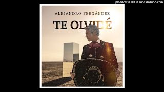 Video thumbnail of "Alejandro Fernández - Te Olvidé."