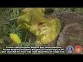 May 30, 2025 NewsReel: Ojai Valley News | Ventura County Sun