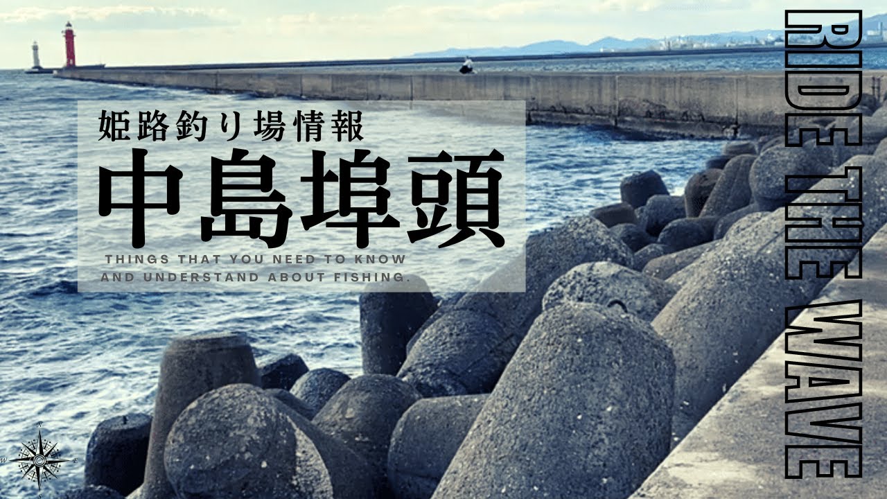 【中島埠頭】本当は教えたくない姫路釣り場情報