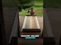Construire la cabane, c’était que le début
