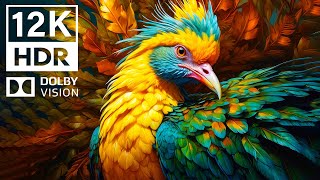DISCOVER THE MYSTERY 12K HDR Dolby Vision | with cinematic sound (Colorful Animal Life)