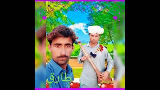 Singer Barkat Khan Mazari