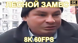 ЛЕСНОЙ ЗАМЕС 8K 60FPS 🥵