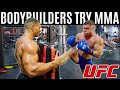 Bodybuilders try MMA for the first time...