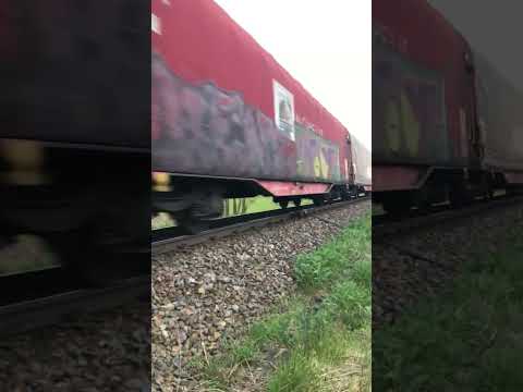 Lineas 7785 & 7784 HLD77 auf dem Weg in Richtung Nachterstedt #trainspotter #trainspotting #güterzug