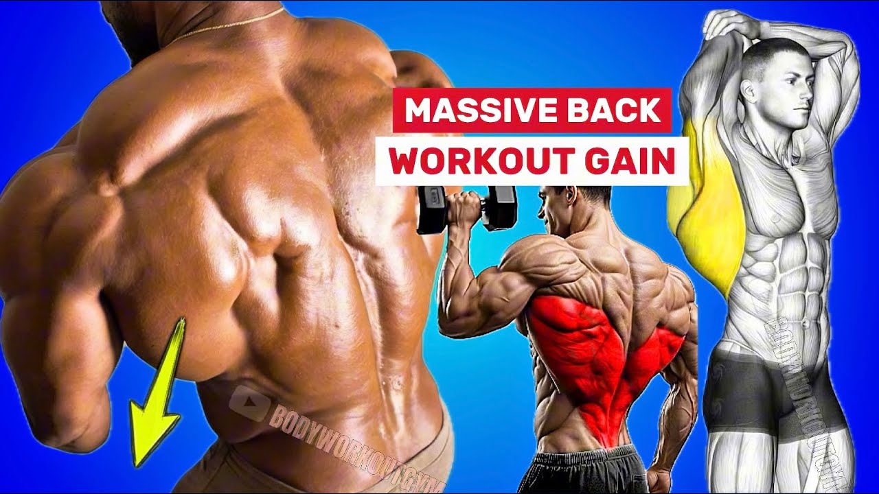 The Best Back Workout: Full Guide To Build Massive (Upper Traps - Lower ...