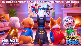 🔴Dog Cartoon 2026: Relaxing Music for Anxious Dogs, Entertaining Videos for Dogs Home Alone📺🐶 DOG TV