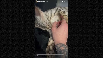 Марсело - 12.07.2021 Snippet