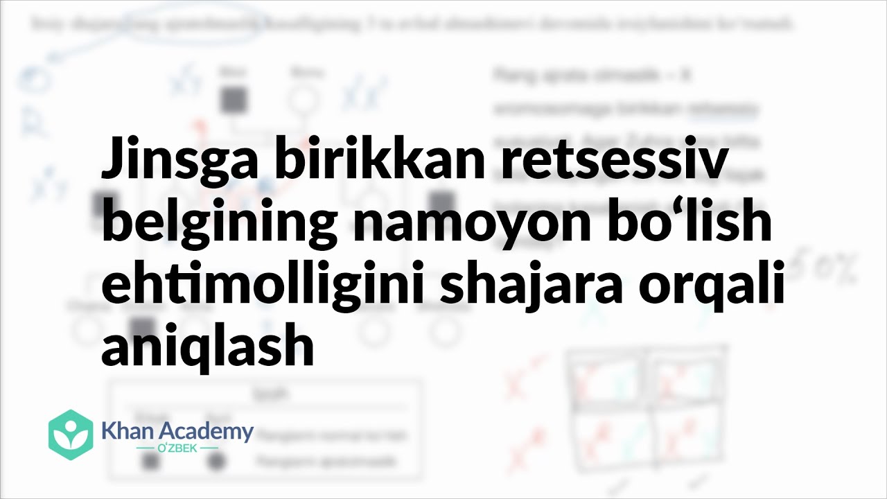 Jinsga birikkan retsessiv belgining namoyon bo‘lish ehtimolligini shajara orqali aniqlash