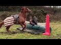 Horse fails, outtakes, bloopers!