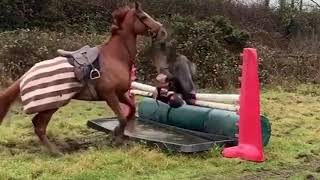 Horse fails, outtakes, bloopers!