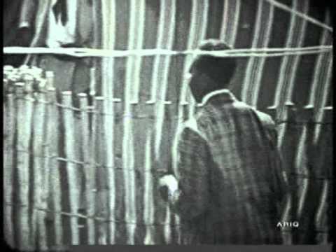 John Lee Hooker - Me And My Telephone