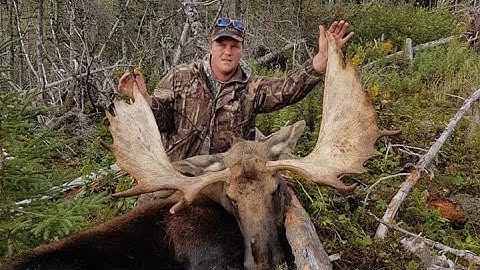 Hunting BIG Newfoundland Bull moose, flashback 2018