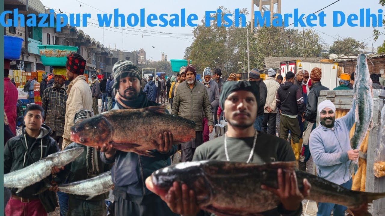 Ghazipur wholesale Fish Market In Delhi |Trending |Viral Video |New Video 2026
